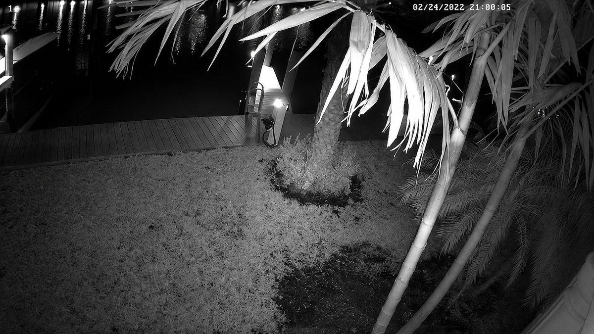 Infrared night vision surveillance
